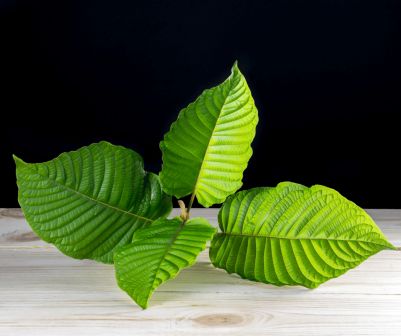 Kratom